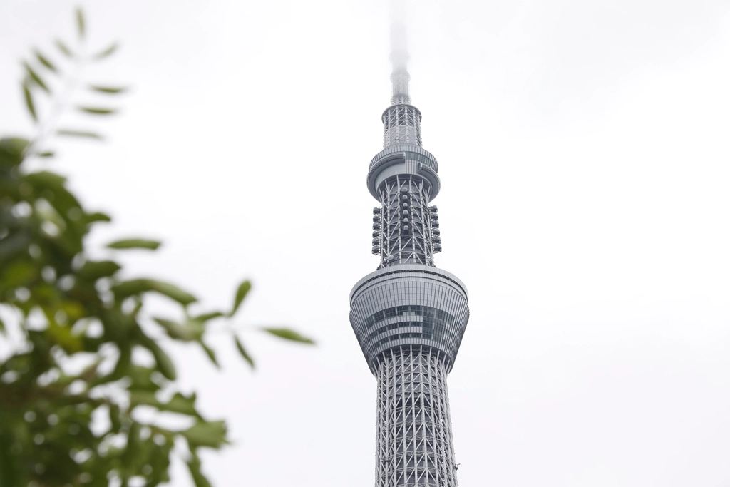 Tokyo Skytree seen through leaves on a bright day
